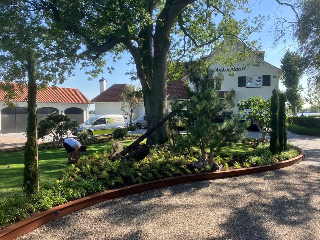 Tuin in topconditie