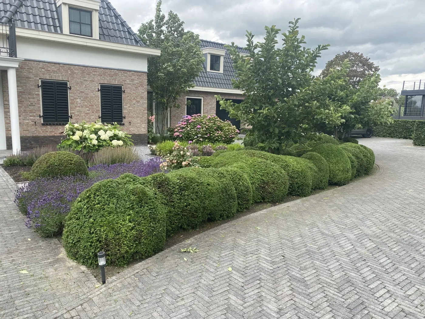 Tuinonderhoud door Carpe Hortus