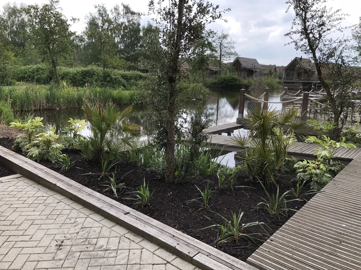 Onderhoud van borders